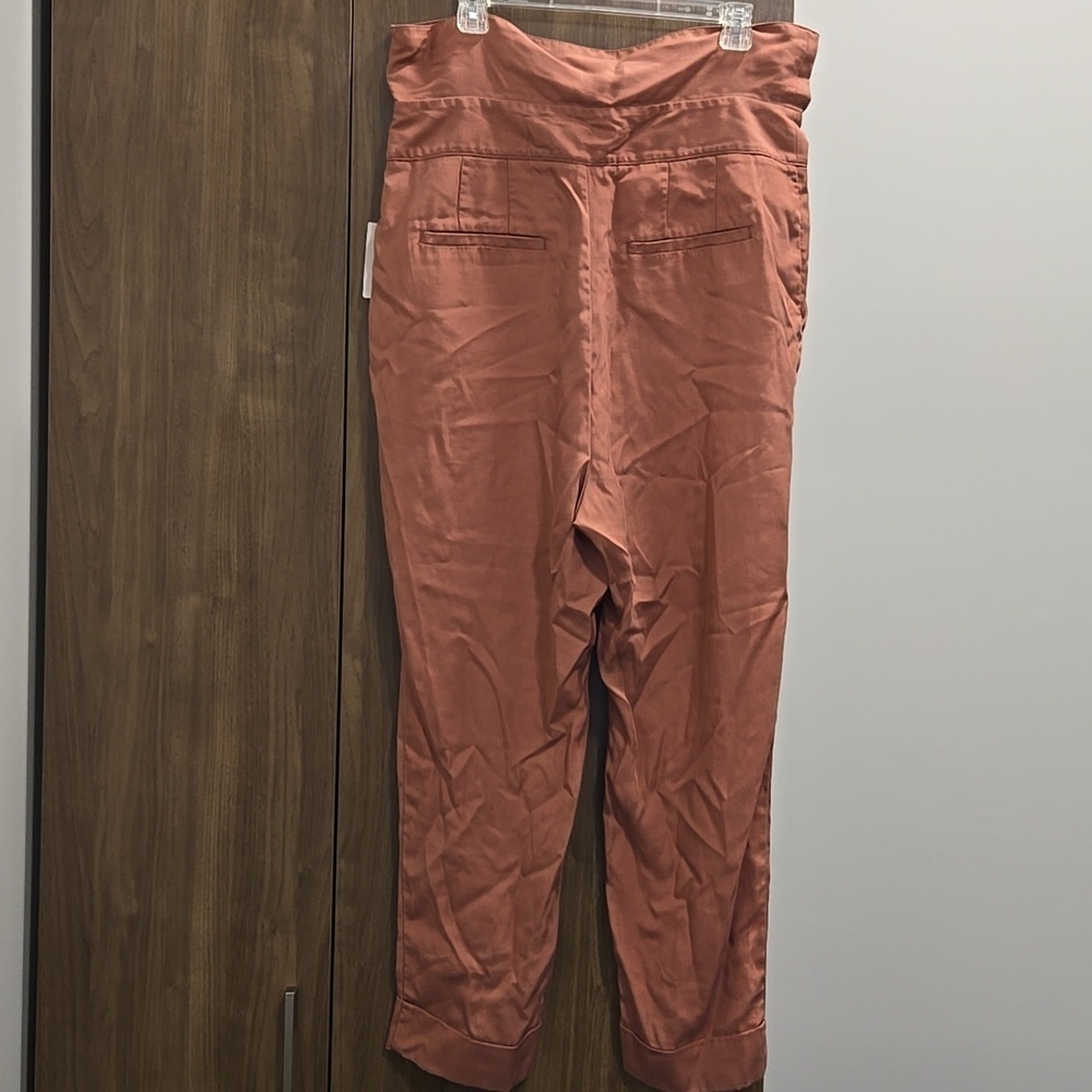 Anthropologie-Cartonniere NWT Belt Front Pants Rose 100% Lyocell-Size 14 - Picture 13 of 16